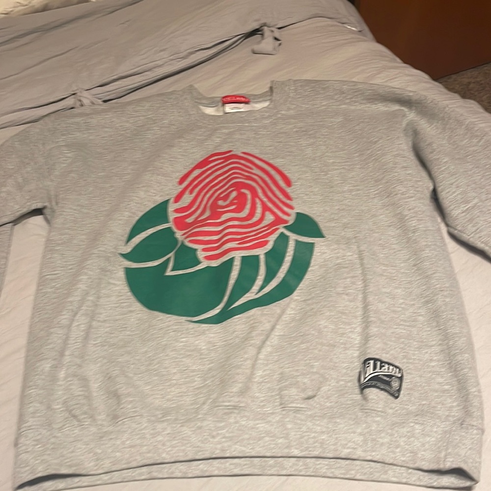 Mens sweatshirt